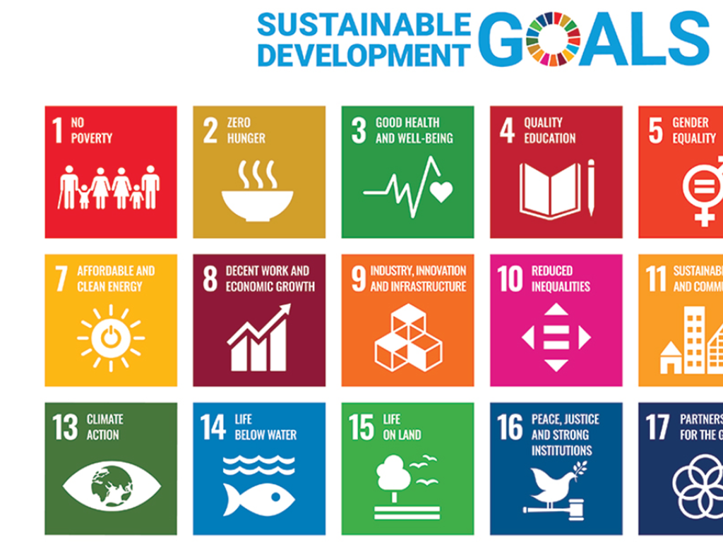 SDG
